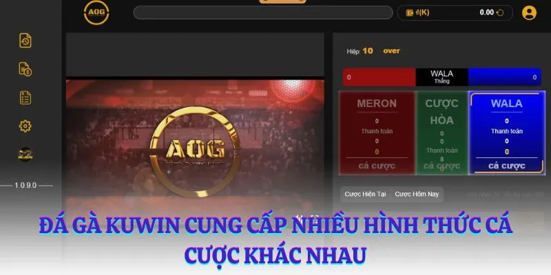 Đá gà Kuwin cung cấp nhiều hình thức cá cược khác nhau