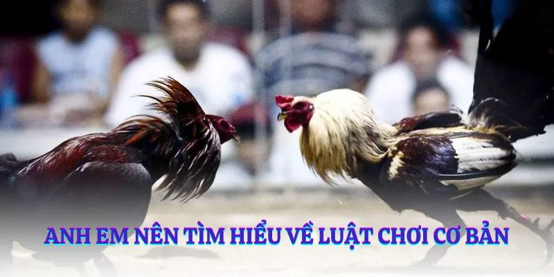 Anh em nên tìm hiểu về luật chơi cơ bản