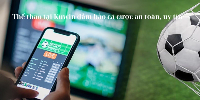 Thể thao tại Kuwin đảm bảo cá cược an toàn, uy tín