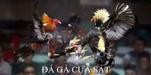 da-ga-cua-sat