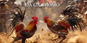 da-ga-thomo